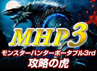 モンスターハンターポータブル3rd 攻略の虎